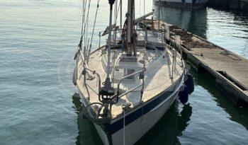 HALLBERG RASSY 352. full